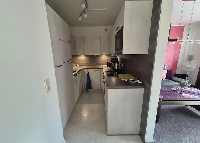 Апартаменты Heinze *